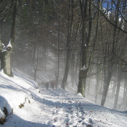 07-01-28 Azkoitia-Azpeitia