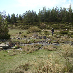 08-05-01 Soria