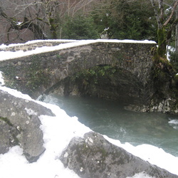 2008