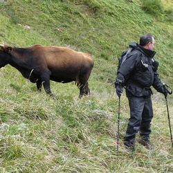 10-10-09 Cordillera Cantabrica