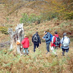 10-10-24 Oketa Orientación