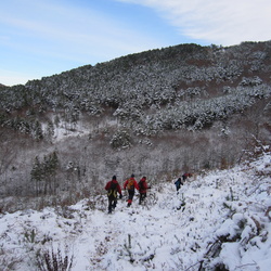 10-12-4 Izaba