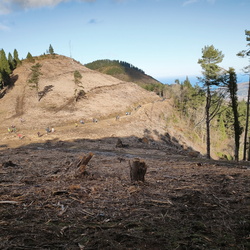 25-12-28 Turrón Ganeran