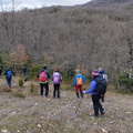 Lagran (257)