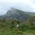San Vicente (274)